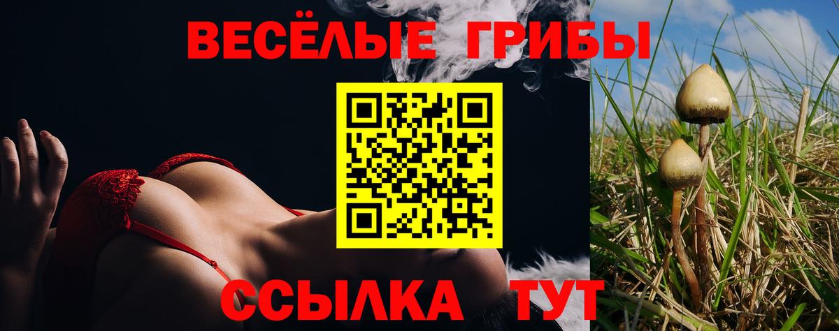 Галлюциногенные грибы прущие грибы Чапаевск