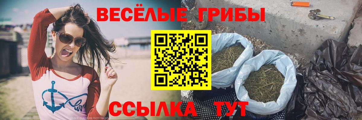 Галлюциногенные грибы прущие грибы  Вход с VPN  Чапаевск 